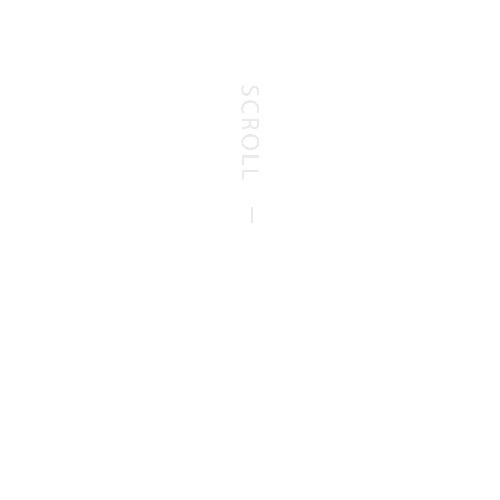 Scroll Down Animation